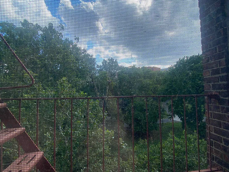 55-05 Woodside Ave #619 — Photo 5