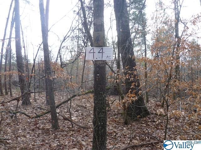 2nd image of 4 Long Hollow Cir
