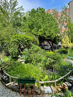 Rented by Jonis Realty | media 14