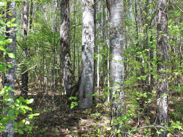 Melvin Leach Rd, Union, MS 39365