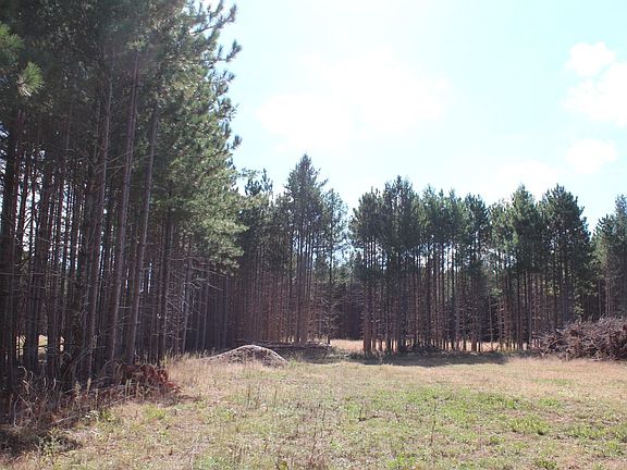 5th image of Hay Creek Rd