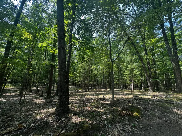 0 W Deer Track Trl, Irons, MI 49644