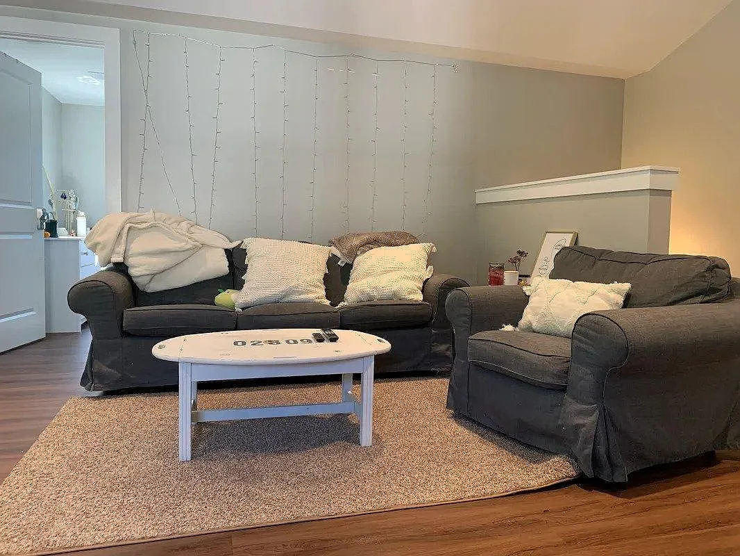 3 bed, 1050 sqft, $3,000 — Photo 4
