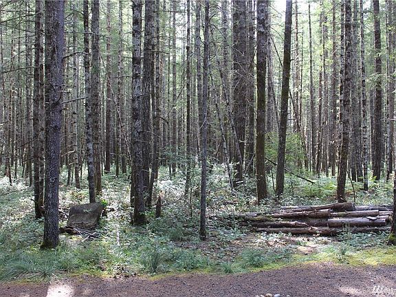5th image of 80 N Kokanee Crst