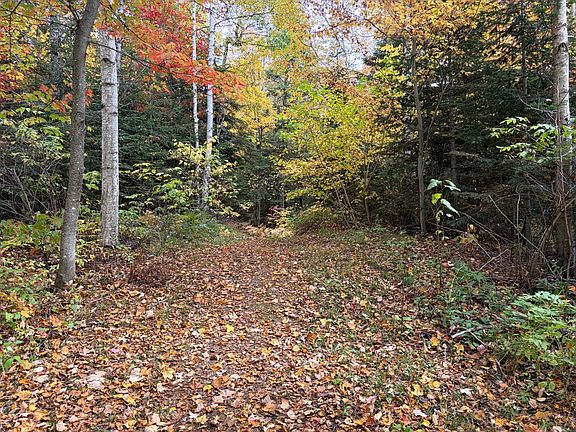 5th image of 161 3rd Avenue