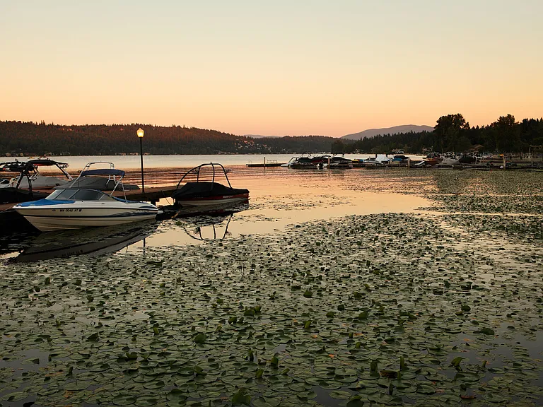 The Docks at Redmond Lakeview — Photo 22