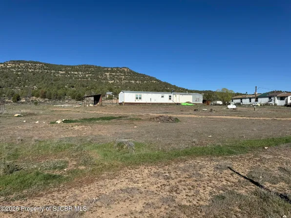 21 Road 4046, Navajo Dam, NM 87419