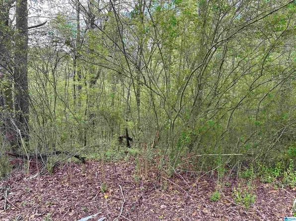 9694 Silley Dean Rd #1, Pinson, AL 35126