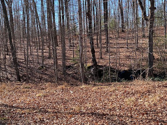 5th image of Spruce Creek Dr