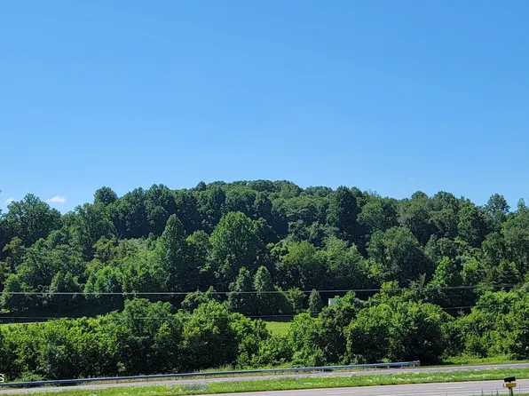 980 Dr Thomas Walker Rd, Ewing, VA 24248