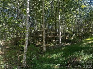 0 Clear Creek Trl, Lake Lure, NC 28746