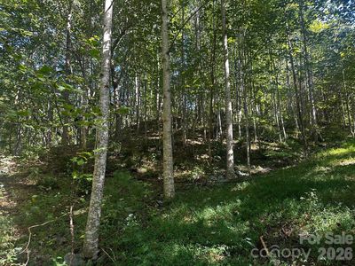 0 Clear Creek Trl, Lake Lure, NC, 28746
