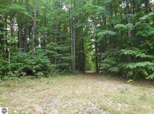 8147 Bear Cat Trl SW, Fife Lake, MI 49633