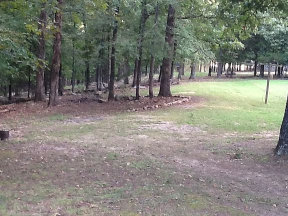 Back yard and wood line 