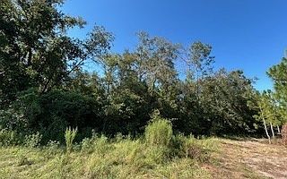 1st image of 209 Place