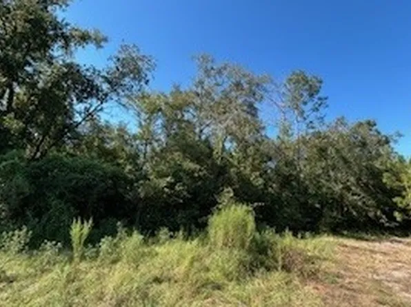 209 Place, Live Oak, FL 32060