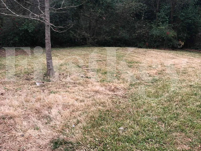 901 Elizabeth Dr — Photo 17