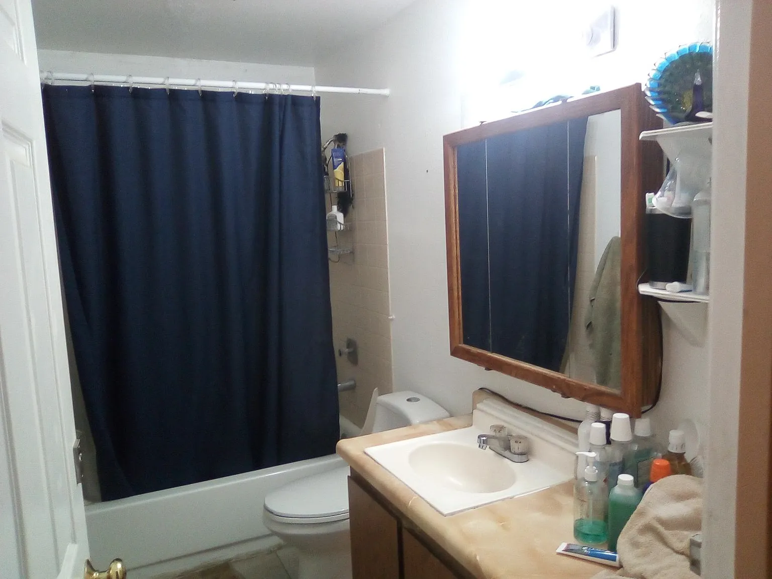3 bed, 2800 sqft, $450 — Photo 3
