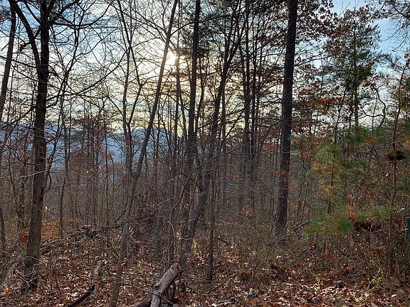 5th image of 156 Harmony Hill Ln Lot 156E