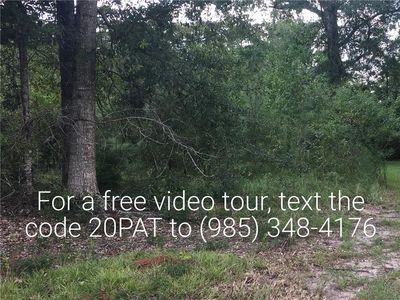 20085 Patricia St, Springfield, LA, 70462