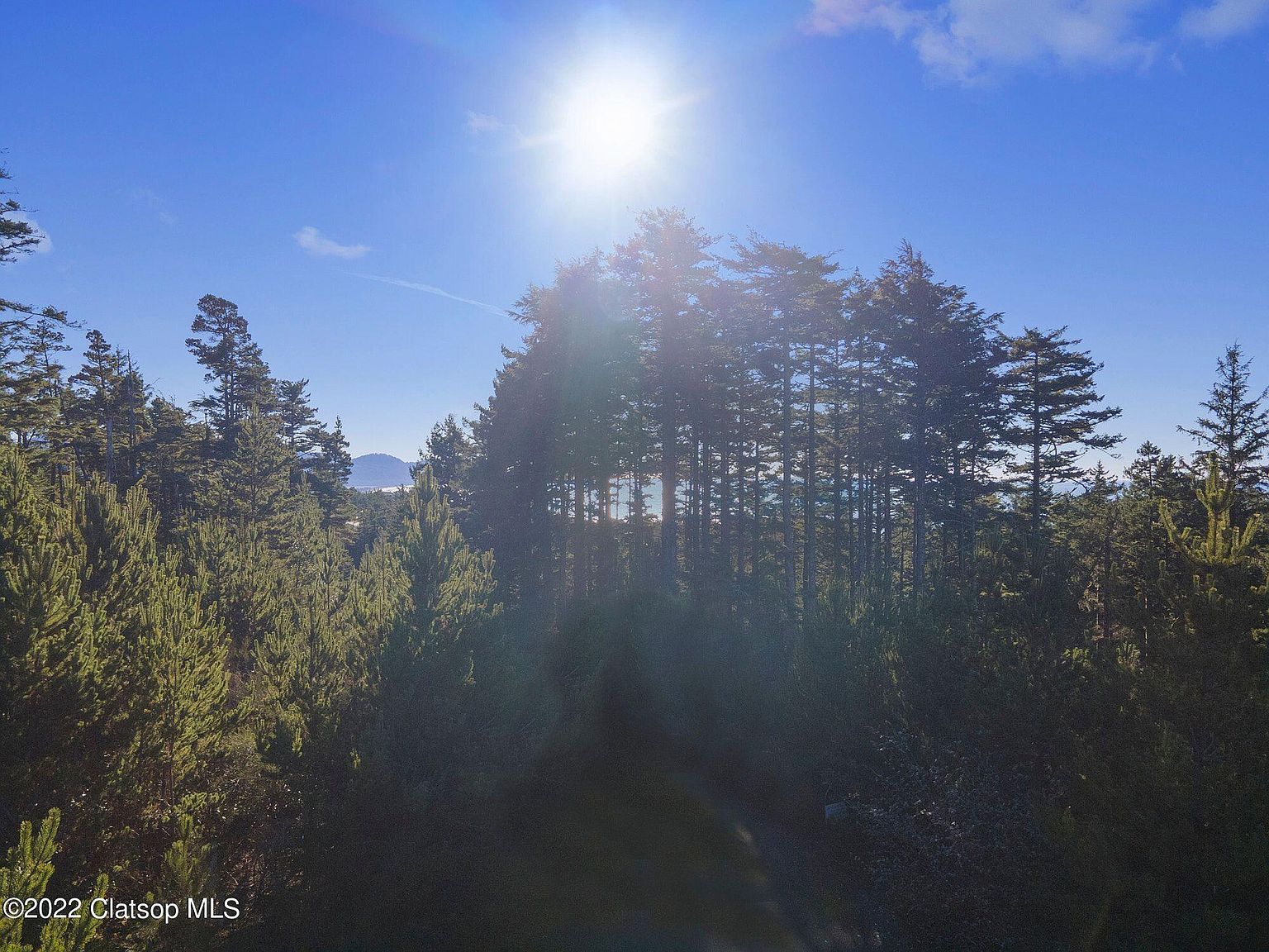 234 Manzanita Dr, Oceanside, OR 97134 Zillow