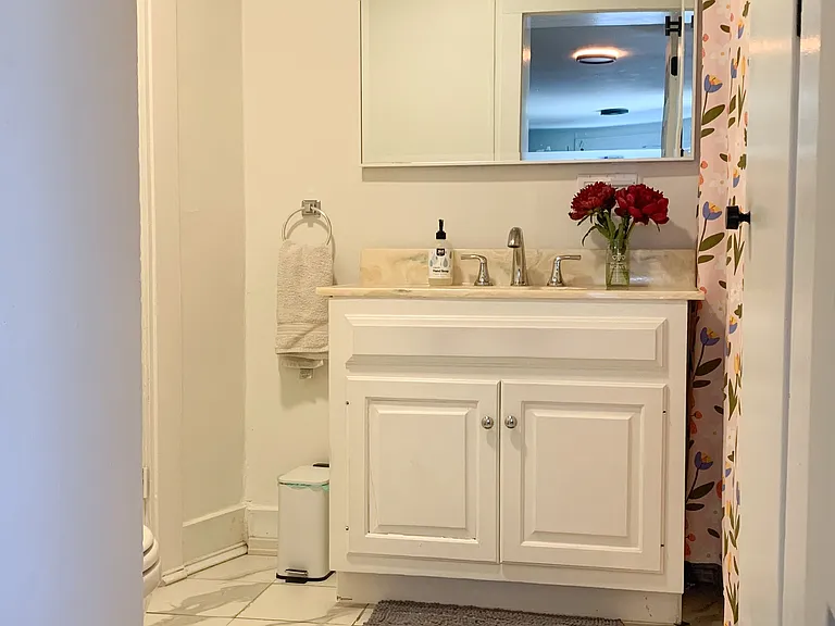 Bathroom - new toilet installed in 2026