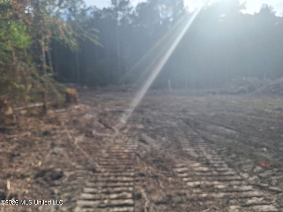 5th image of 709 Old Pinola Braxton Rd