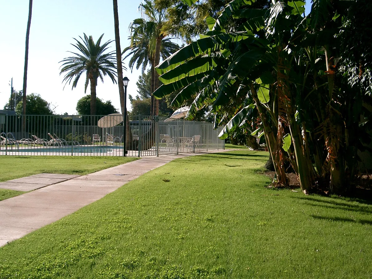 Building Photo - 3270 E Camelback Rd #115