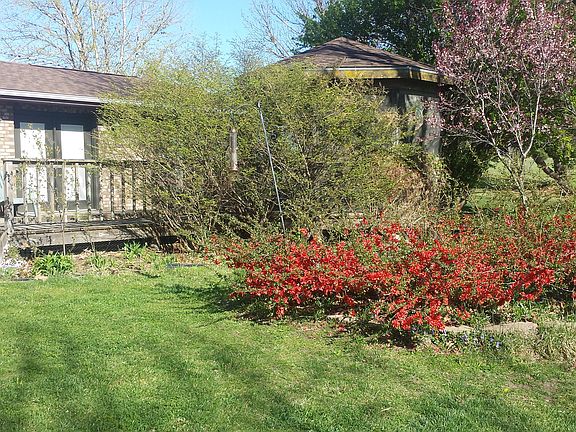 4th image of 1414 S 202nd St