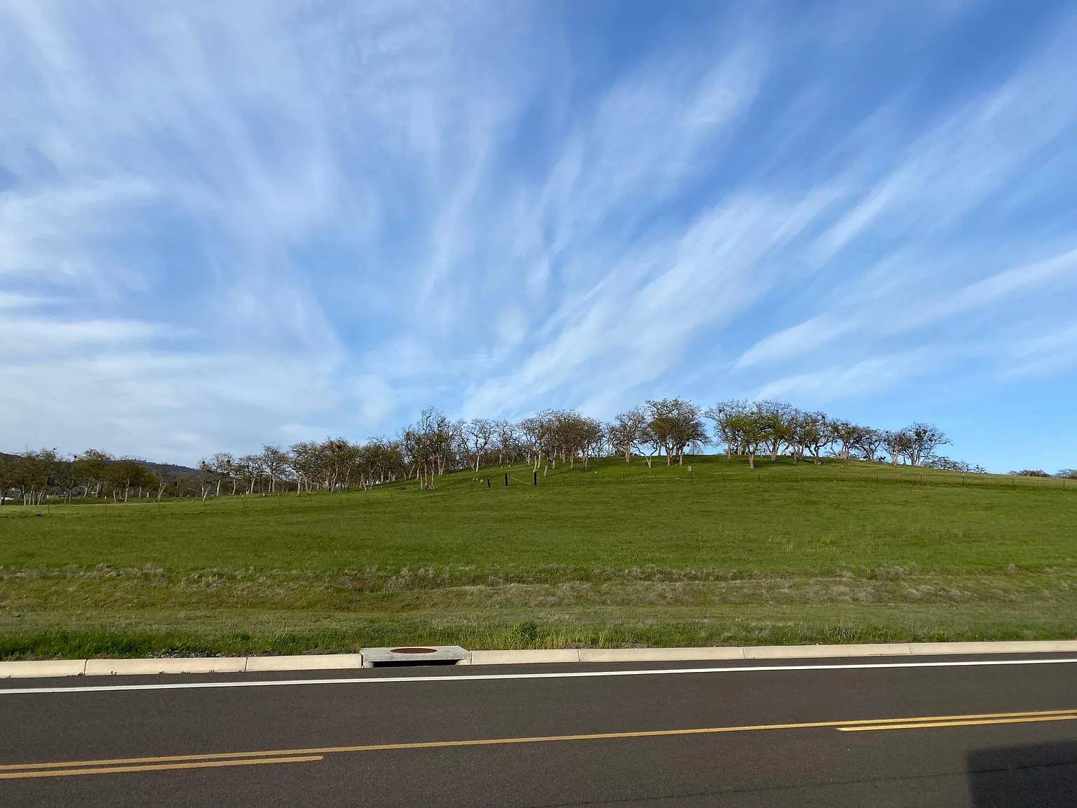 3 bed, 1828 sqft, $3,300 — Photo 3