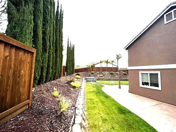 Huge Back Yard