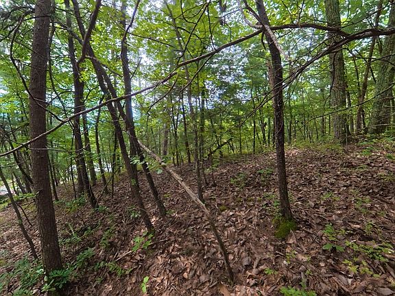 3rd image of 41 Shady Oaks Way Lot 41