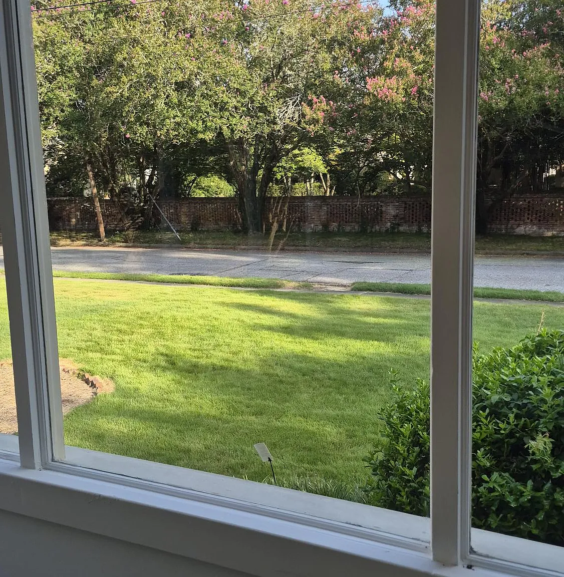 1 bed, 1000 sqft, $1,000 — Photo 4