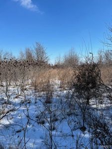 LOT 6 Parkview Dr, Blackwell, MO, 63626