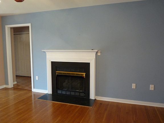 Propane log fireplace