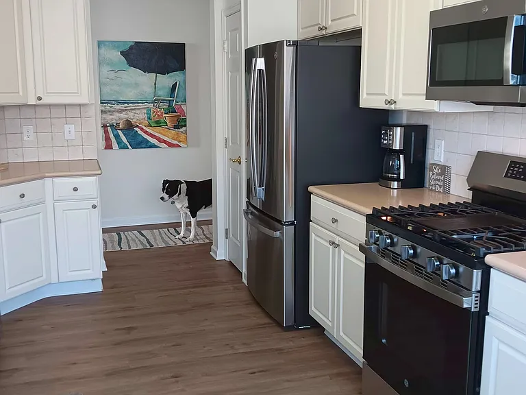 Stainless steel appliances: gas range, double door refrigerator