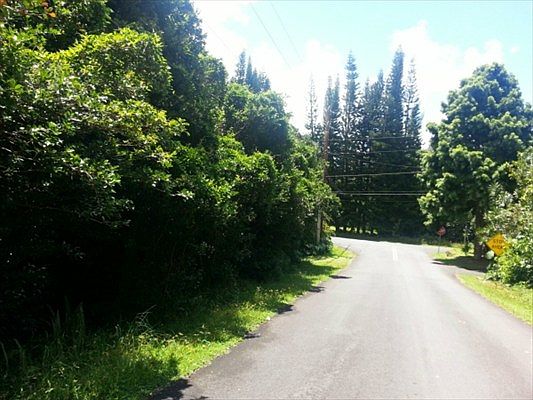 4th image of Diamond Head Dr Lot 795