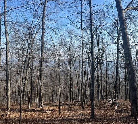 3rd image of Quaint Acres Ln
