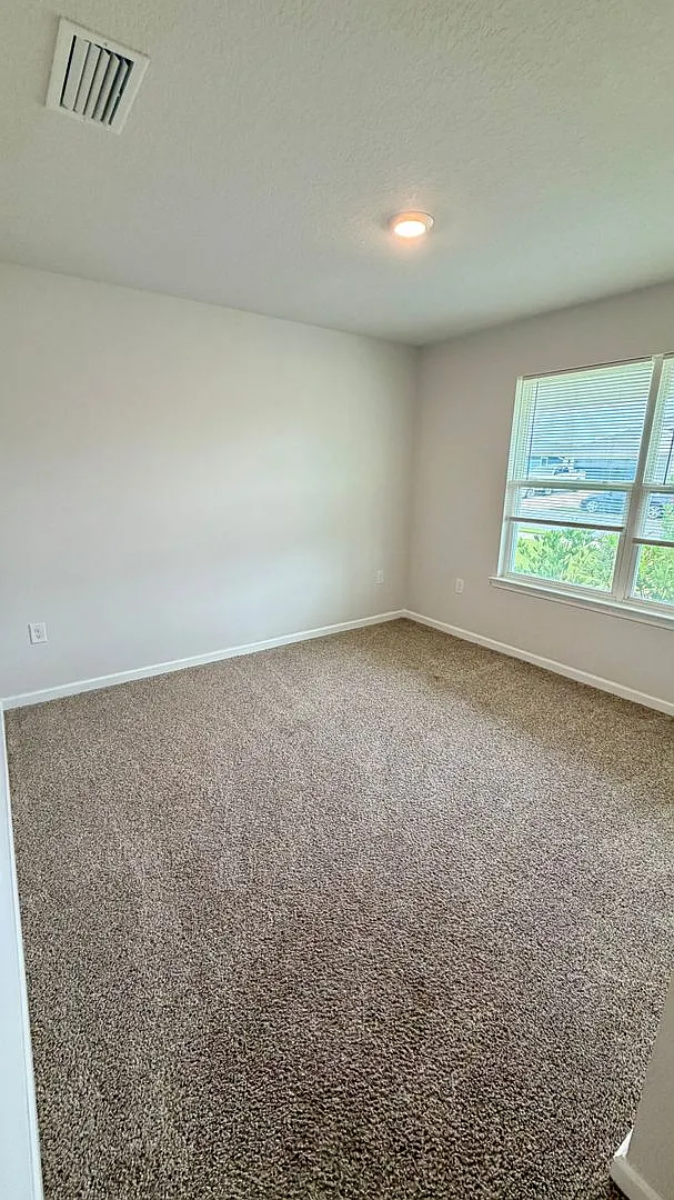 250 Boggy Creek Way — Photo 4