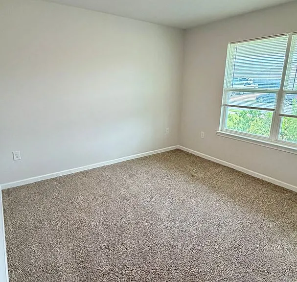 250 Boggy Creek Way — Photo 4