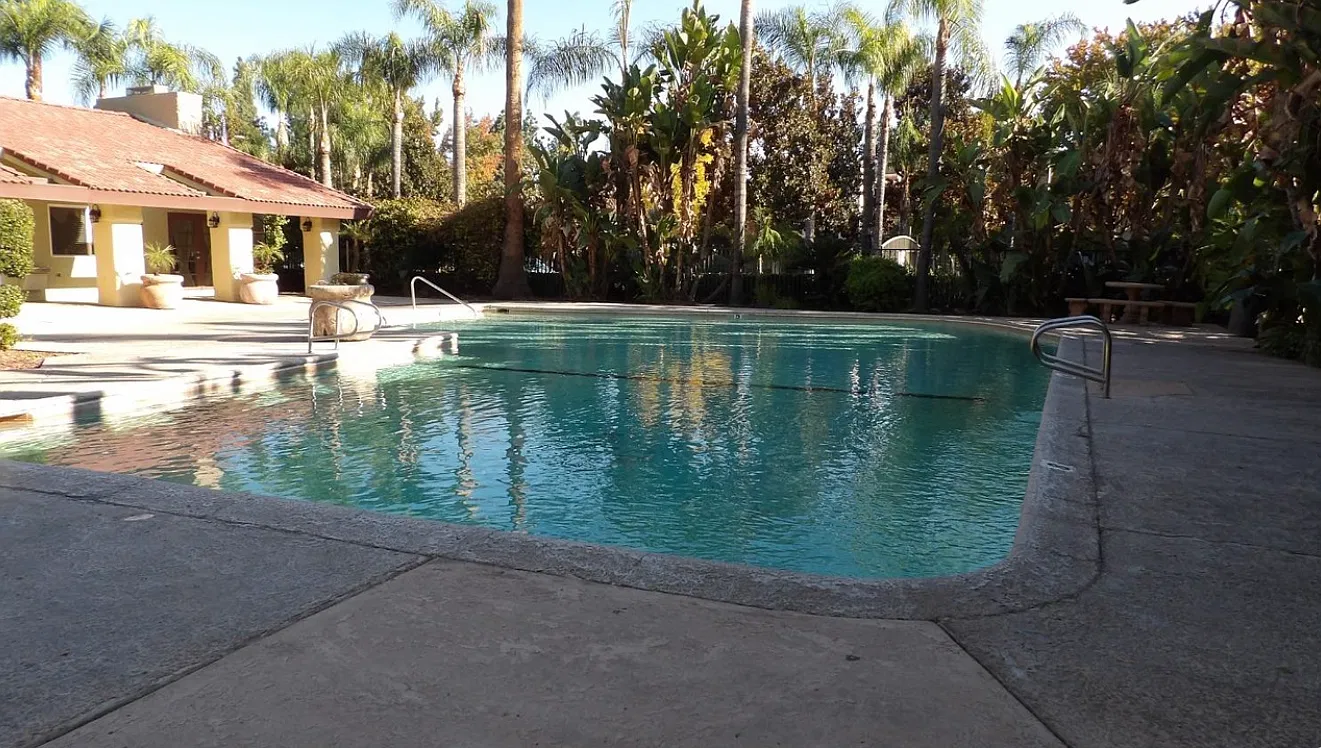 2 bed, 1.5 bath, 960 sqft, $1,600 — Photo 2