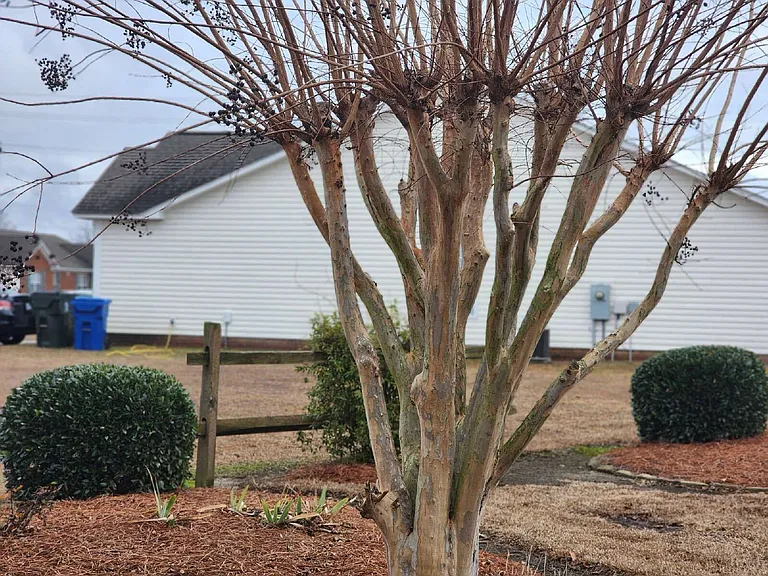 2943 Kinsey Loop #B — Photo 4