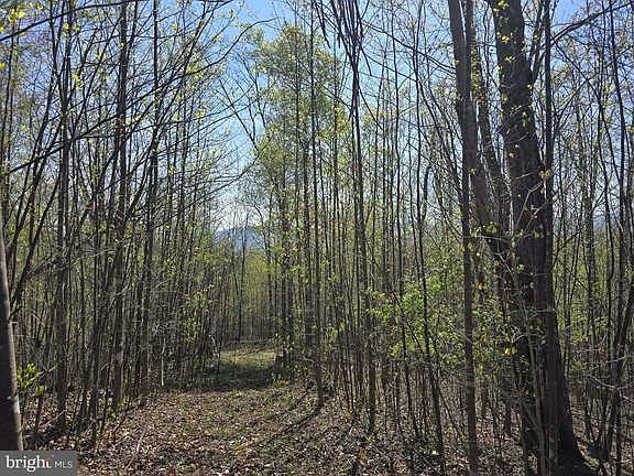 2nd image of 0 S Fort Valley Rd