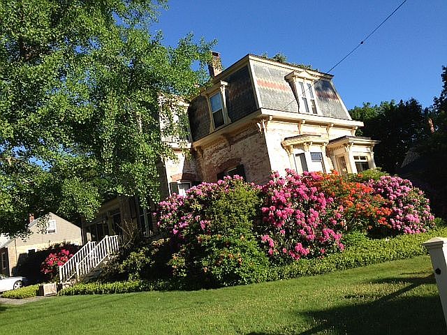 2nd image of 464 Deering Ave