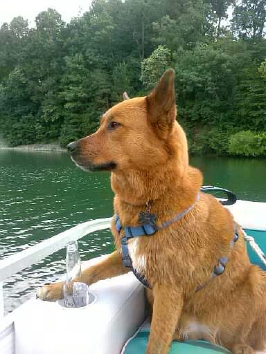 Ah...lake time!