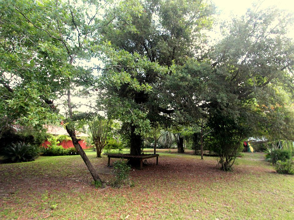 1st image of Xxx Julia Ave