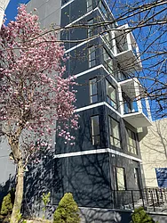 81 Mcguinness Boulevard in Greenpoint
