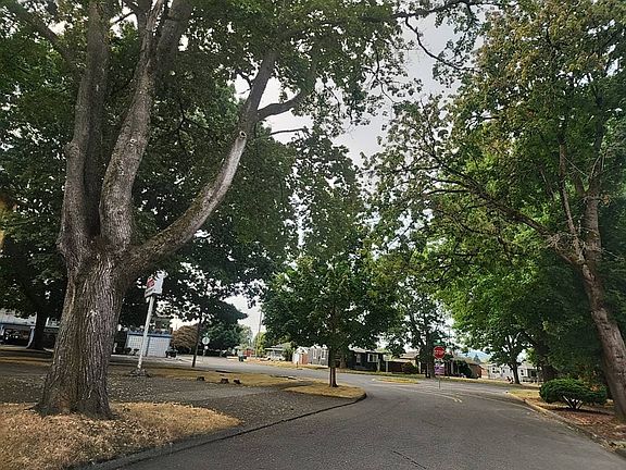 5th image of 1229 19th Ave