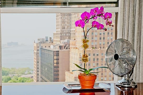 1st image of 88 Greenwich St APT 2505