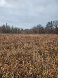 XXX County Road FF, Webster, WI, 54893